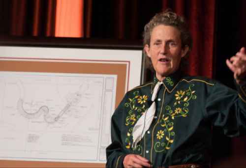 Temple Grandin üniversitede öğrencilere ders anlatıyor.