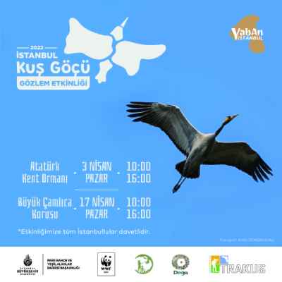 İstanbul Kuş Göçü Gözlem Etkinliği