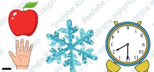 Resfebe Kütüphanesi-25